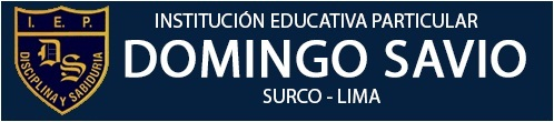 I.E. DOMINGO SAVIO